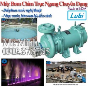 Máy Bơm Chìm Trục Ngang - Bơm Thác Nước Nghệ Thuật - Bơm Nhạc Nước - LUBI Pump - Made in India
