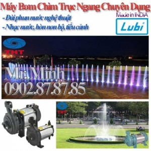 Máy Bơm Chìm Trục Ngang - Bơm Thác Nước Nghệ Thuật - Bơm Nhạc Nước - LUBI Pump - Made in India