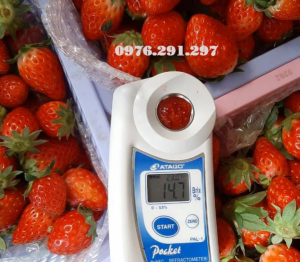 Máy đo độ ngọt Pal 1 Atago Nhật Bản - Bảo hành 12 tháng