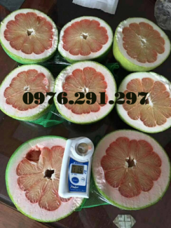 Máy đo độ ngọt Pal 1 Atago Nhật Bản - Bảo hành 12 tháng
