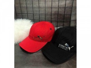 Nón kết thời trang nam nữ cao cấp logo P