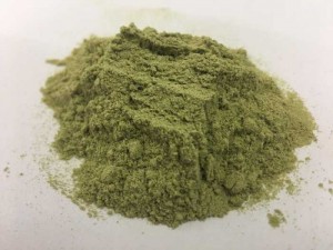 Cung cấp bột cần tây giá rẻ nhất thị trường