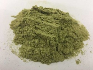 Cung cấp bột cần tây giá rẻ nhất thị trường