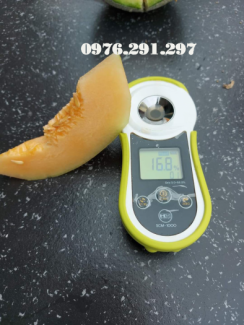 Máy đo độ ngọt trái cây SCM1000 - HMDigital Mỹ