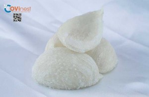 Classy Nest 50gram – Yến sạch nguyên tổ