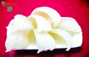 Classy Nest 50gram – Yến sạch nguyên tổ