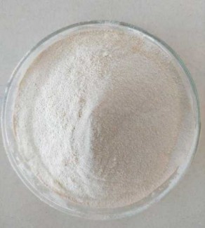 Men vi sinh tiêu hóa gia súc, gia cầm