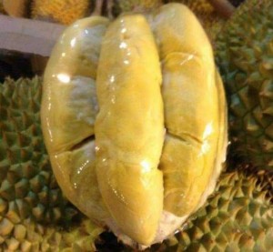 Cung cấp giống cây sầu riêng RI6, chuẩn giống F1, năng suất cao, giá cả hợp lý