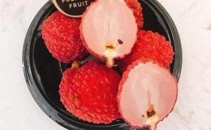 Giống cây vải không hạt uy tín chất lượng, số lượng lớn, giao hàng toàn quốc