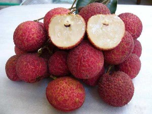Giống cây vải không hạt uy tín chất lượng, số lượng lớn, giao hàng toàn quốc