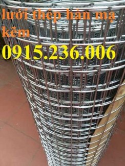 Lưới thép hàn D2, D3 a25x25, a50x50 tại Hà Nội