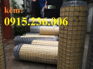 Lưới thép hàn D2, D3 a25x25, a50x50 tại Hà Nội