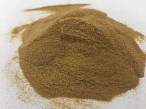 Bán Hedera Helix Extract (chiết xuất cao lá thường xuân)