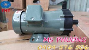 Bán máy bơm hóa chất Veratti giá rẻ nhất TPHCM