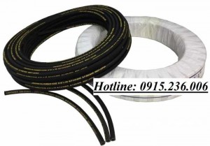 Ống cao su cột bơm xăng dầu phi 29, phi 25 tại Hà Nội