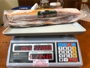 Thịt Heo Rừng Miếng 1ký065