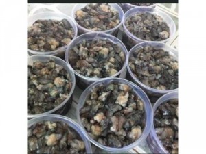 THỊT ĐẦU TÔM SÚ GẠCH XUẤT KHẨU hộp 500gr