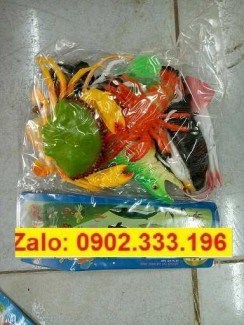 Công ty chuyên phấn phối đồ dùng trong lớp, đồ chơi trong lớp mầm non rẻ nhất