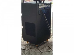 Loa kéo điện Q_Boss model 2021