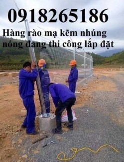 Hàng rào mạ kẽm nhúng nóng phi 4 ô 50x150, Lưới mạ kẽm phi 5 50x200