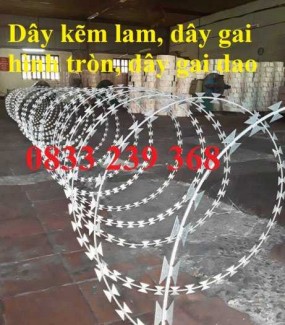 Dây kẽm lam, dây thép gai hình dao, dây gai lam giá rẻ tại Sài Gòn