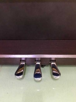 Piano Điện Ydp-131