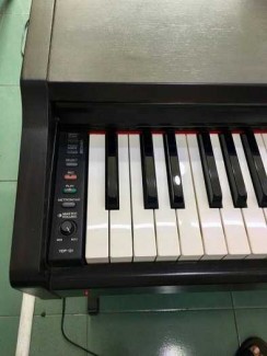 Piano Điện Ydp-131