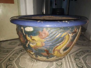 Chậu Rồng Miệng Tím Phủ Bì 70cm, Lọt Lòng 58cm