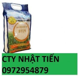 Túi Đựng Gạo 5kg Giá Tốt, Chất Lượng Cao