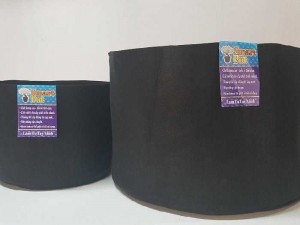 Chậu vải không dệt trồng cây
