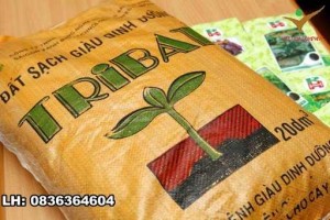 Đặt Bao PP Dệt 50kg - nhận ngay giảm giá