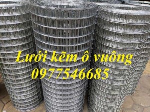 Cung Cấp Lưới Hàn Mạ Kẽm Ô Lưới 25x25, 35x35, 50x50 Tại Hà Nội