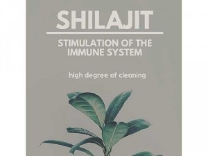 Nepal Shilajit