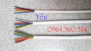Cáp tín hiệu báo cháy, cáp tín hiệu chống nhiễu 2c x 0.22mm