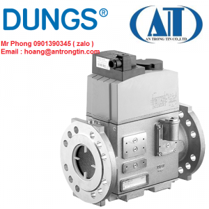 Van điện từ Dungs
