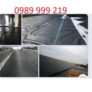 Bạt Nhựa Hdpe 0.5mm khổ 4x50m Làm Bioga Ứng Dụng Trong Chăn Nuôi Chống Thấm Cho Các Ao Nuôi Trồng Thủy Sản Trên Cát