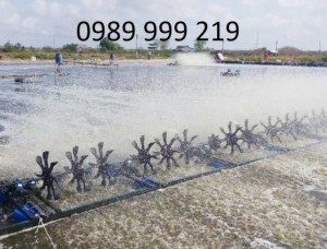 Màng Chống Thấm Hdpe 0.5mm khổ 5x50m kho thạch bàn long biên