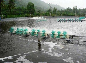 Bạt nhựa HDPE 0.5mm-k5-50m-150kg lót be bờ ao-cty suncogroup việt nam