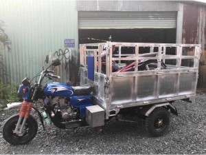 Xe Hoa Lâm Ba Bánh Đóng Theo Yêu Cầu