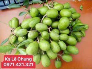 Cây cóc thái size nhỏ