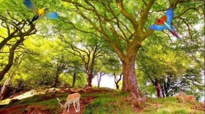 Gạch tranh dán tường phong cảnh thiên nhiên - VNB65