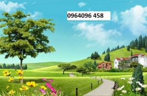 Gạch tranh dán tường phong cảnh thiên nhiên - VNB65