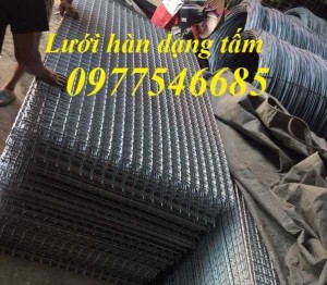 Cung Cấp Lưới Làm Giàn Lan, Lưới Làm Hàng Rào Phi 3,phi 4 Mắt Lưới Theo Yêu Cầu