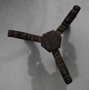 Chò rồng và dĩa xưa