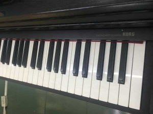 Piano điện korg C-35W