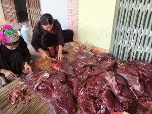 Trâu gác bếp hà giang