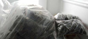 Chuyên DẠ DÀY bằng thảo dược