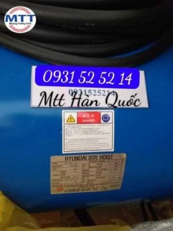 Palang hyundai dầm đơn 5 tấn 6 mét