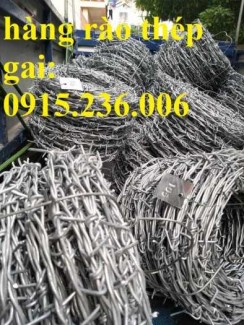 Dây thép gai nhọn, hàng rào thép gai nhọn mới 100%