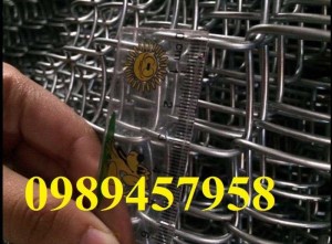 Lưới hàng rào B10, B20, B30, Hàng rào chăn nuôi mạ kẽm, Bọc nhựa 20x20, 30x30